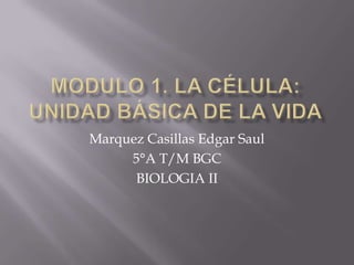 Marquez Casillas Edgar Saul
     5°A T/M BGC
      BIOLOGIA II
 
