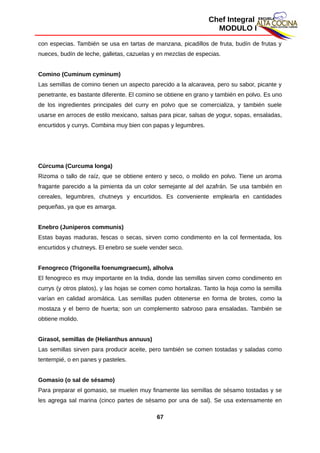 Chef Integral
MODULO I
con especias. También se usa en tartas de manzana, picadillos de fruta, budín de frutas y
nueces, budín de leche, galletas, cazuelas y en mezclas de especias.
Comino (Cuminum cyminum)
Las semillas de comino tienen un aspecto parecido a la alcaravea, pero su sabor, picante y
penetrante, es bastante diferente. El comino se obtiene en grano y también en polvo. Es uno
de los ingredientes principales del curry en polvo que se comercializa, y también suele
usarse en arroces de estilo mexicano, salsas para picar, salsas de yogur, sopas, ensaladas,
encurtidos y currys. Combina muy bien con papas y legumbres.
Cúrcuma (Curcuma longa)
Rizoma o tallo de raíz, que se obtiene entero y seco, o molido en polvo. Tiene un aroma
fragante parecido a la pimienta da un color semejante al del azafrán. Se usa también en
cereales, legumbres, chutneys y encurtidos. Es conveniente emplearla en cantidades
pequeñas, ya que es amarga.
Enebro (Juniperos communis)
Estas bayas maduras, fescas o secas, sirven como condimento en la col fermentada, los
encurtidos y chutneys. El enebro se suele vender seco.
Fenogreco (Trigonella foenumgraecum), alholva
El fenogreco es muy importante en la India, donde las semillas sirven como condimento en
currys (y otros platos), y las hojas se comen como hortalizas. Tanto la hoja como la semilla
varían en calidad aromática. Las semillas puden obtenerse en forma de brotes, como la
mostaza y el berro de huerta; son un complemento sabroso para ensaladas. También se
obtiene molido.
Girasol, semillas de (Helianthus annuus)
Las semillas sirven para producir aceite, pero también se comen tostadas y saladas como
tentempié, o en panes y pasteles.
Gomasio (o sal de sésamo)
Para preparar el gomasio, se muelen muy finamente las semillas de sésamo tostadas y se
les agrega sal marina (cinco partes de sésamo por una de sal). Se usa extensamente en
67
 