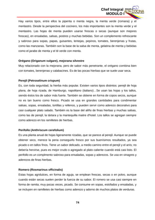 Chef Integral
MODULO I
Hay varios tipos, entre ellos la piperita o menta negra, la menta verde (romana) y el
mentastro. Desde la perspectiva del cocinero, los más importantes son la menta verde y el
mentastro. Las hojas de menta pueden usarse frescas o secas (aunque son mejores
frescas), en ensaladas, salsas, postres y muchas bebidas. Son un complemento refrescante
y sabroso para sopas, papas, guisantes, lentejas, pepinos, tomates, berenjenas y frutas,
como las manzanas. También son la base de la salsa de menta, gelatina de menta y bebidas
como el jarabe de menta y el té verde con menta.
Orégano (Origanum vulgare), mejorana silvestre
Muy relacionado con la mejorana, pero de sabor más penetrante, el orégano combina bien
con tomates, berenjenas y calabacines. Es de las pocas hierbas que se suele usar seca.
Perejil (Petroselinum crispum)
Es, con toda seguridad, la hierba más popular. Existen varios tipos distintos: perejil de hoja
plana, de hoja rizada, de Hamburgo, napolitano (italiano)…Se usan las hojas y los tallos,
siendo éstos los de sabor más fuerte. También se obtiene en forma de copos secos, aunque
no es tan bueno como fresco. Picado se usa en grandes cantidades para condimentar
salsas, sopas, ensaladas, tortillas y rellenos, y pueden servir como aderezo decorativo para
casi cualquier plato salado. También es la base del aliño de finas hierbas y muchas salsas,
como las de perejil, la tártara y la mantequilla maitre d'hotel. Los tallos se agregan siempre
como aderezo en los ramilletes de hierbas.
Perifollo (Anthriscum cerefolium)
Es una planta anual de hojas ligeramente rizadas, que se parece al perejil. Aunque se puede
obtener seco, merece la pena conseguirlo fresco por sus buenísimos resultados, ya sea
picado o en tallos finos. Tiene un sabor delicado, a medio camino entre el perejil y el anís; no
debería hervirse, pues es mejor crudo o agregado al plato caliente cuando está casi listo. El
perifollo es un complmento sabroso para ensaladas, sopas y aderezos. Se usa en vinagres y
aderezos de finas hierbas.
Romero (Rosmarinus officinalis)
Estas hojas agridulces, en forma de aguja, se emplean frescas, secas o en polvo, aunque
cuando están secas suelen perder la fuerza de su sabor. El romero se usa casi siempre en
forma de ramita; muy pocas veces, picado. Se consume en sopas, estofados y ensaladas, y
se incluyen en ramilletes de hierbas como aderezo y adorno de muchos platos de verduras.
74
 