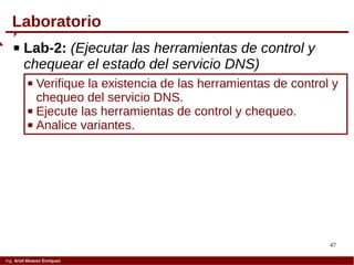 47
Ing. Ariel Alvarez Enríquez
 Lab-2: (Ejecutar las herramientas de control y
chequear el estado del servicio DNS)
 Verifique la existencia de las herramientas de control y
chequeo del servicio DNS.
 Ejecute las herramientas de control y chequeo.
 Analice variantes.
Laboratorio
 