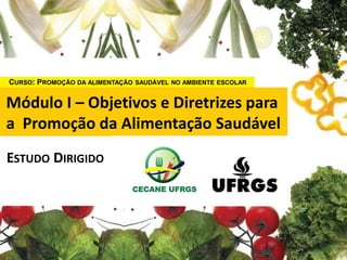 CURSO: PROMOÇÃO DA ALIMENTAÇÃO SAUDÁVEL NO AMBIENTE ESCOLAR
Módulo I – Objetivos e Diretrizes para
a Promoção da Alimentação Saudável
ESTUDO DIRIGIDO
 