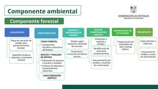LOCALIZACIÓN
Mapa de ubicación de
predios para
aprovechamiento
forestal.
Especificar linderos,
extensión y inventario
forestal.
CARACTERIZACIÓN
CENSO FORESTAL
• Composición
florística y estructura
del bosque.
RESCATE Y TRASLADO
DE EPIFITAS
• Estimación de especies
a rescatar y trasladar.
• Criterios de selección y
mantenimientos
requeridos.
CARACTERIZACIÓN
ABIÓTICA
MEDIDAS Y
PROGRAMAS DE
MANEJO
Manejo según
impactos y demanda
de recursos.
Prevención y
corrección de efectos
nocivos.
PLAN DE
COMPENSACIÓN
FORESTAL
Estimación y
especies a
sembrar.
Identificación de
áreas para
compensaciones.
Documentación de
predios y acuerdos
de conservación.
CRONOGRAMA DE
ACTIVIDADES
Programación de
actividades de
tala y manejo
biótico.
PRESUPUESTO
Costos directos e
indirectos.
Generación de
empleo y costos
de reforestación
Componente ambiental
Componente forestal
 