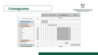 Cronograma
 