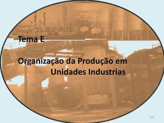 Tema E
Organização da Produção em
Unidades Industrias
105TQ (mód 1 - Introd. à Indústria Química)
 