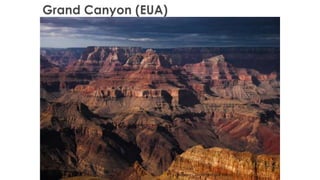 Professor Claudio Henrique (Henry)
 