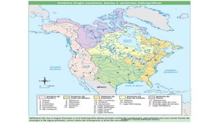 Professor Claudio Henrique (Henry)
 