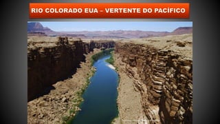 Professor Claudio Henrique (Henry)
 