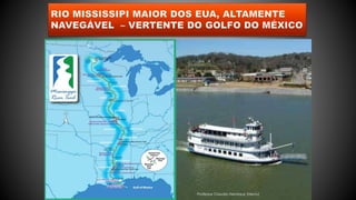 Professor Claudio Henrique (Henry)
 