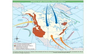 Professor Claudio Henrique (Henry)
 