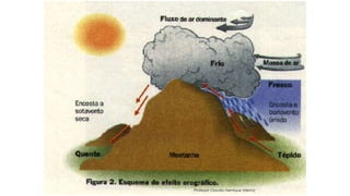 Professor Claudio Henrique (Henry)
 