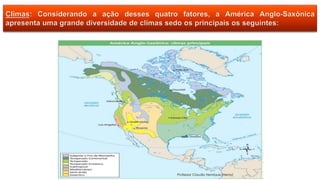 Professor Claudio Henrique (Henry)
 