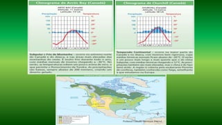 Professor Claudio Henrique (Henry)
 