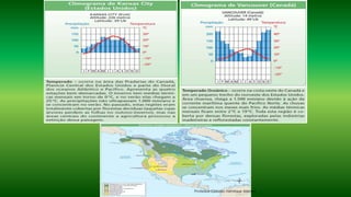 Professor Claudio Henrique (Henry)
 