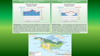 Professor Claudio Henrique (Henry)
 