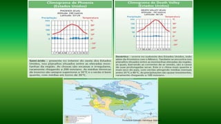 Professor Claudio Henrique (Henry)
 