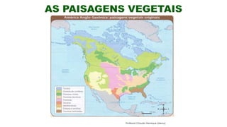 Professor Claudio Henrique (Henry)
 