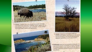 Professor Claudio Henrique (Henry)
 