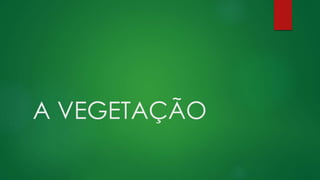 A VEGETAÇÃO
 