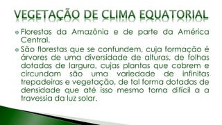 Florestas da Amazônia e de parte da América
Central.
São florestas que se confundem, cuja formação é
árvores de uma diversidade de alturas, de folhas
dotadas de largura, cujas plantas que cobrem e
circundam são uma variedade de infinitas
trepadeiras e vegetação, de tal forma dotadas de
densidade que até isso mesmo torna difícil a a
travessia da luz solar.
 