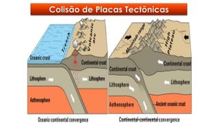 Professor Claudio Henrique (Henry)
 