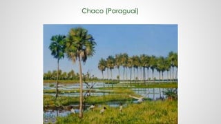 Chaco (Paraguai)
 