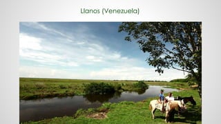 Llanos (Venezuela)
 