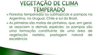 Florestas temperadas ou subtropicais e pampas na
Argentina, no Uruguai, Chile e sul do Brasil.
As primeiras são matas de pinheiros, que, em geral,
se associam a demais espécies; os pampas são
uma formação constituinte de uma área de
vegetação rasteira, pastagem natural de
excelência
 