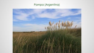 Pampa (Argentina)
 
