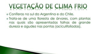Coníferas no sul da Argentina e do Chile.
Trata-se de uma floresta de árvores, com plantas
nas quais são apresentadas folhas de grande
dureza e agudez nas pontas (aciculifoliadas).
 