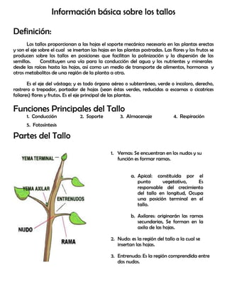 Información básica sobre los tallos
Definición:
Los tallos proporcionan a las hojas el soporte mecánico necesario en las plantas erectas
y son el eje sobre el cual se insertan las hojas en las plantas postradas. Las flores y los frutos se
producen sobre los tallos en posiciones que facilitan la polinización y la dispersión de las
semillas. Constituyen una vía para la conducción del agua y los nutrientes y minerales
desde las raíces hasta las hojas, así como un medio de transporte de alimentos, hormonas y
otros metabolitos de una región de la planta a otra.
Es el eje del vástago; y es todo órgano aéreo o subterráneo, verde o incoloro, derecho,
rastrero o trepador, portador de hojas (sean éstas verdes, reducidas a escamas o cicatrices
foliares) flores y frutos. Es el eje principal de las plantas.
Funciones Principales del Tallo
1. Conducción 2. Soporte 3. Almacenaje 4. Respiración
5. Fotosíntesis
Partes del Tallo
1. Yemas: Se encuentran en los nudos y su
función es formar ramas.
a. Apical: constituida por el
punto vegetativo, Es
responsable del crecimiento
del tallo en longitud, Ocupa
una posición terminal en el
tallo.
b. Axilares: originarán las ramas
secundarias, Se forman en la
axila de las hojas.
2. Nudo: es la región del tallo a la cual se
insertan las hojas.
3. Entrenudo: Es la región comprendida entre
dos nudos.
 