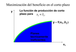Maximización del beneficio en el corto plazo
                                       p
   y     La función de producción de corto
         plazo para x2 ≡ ~2 .
          l               x

                                              ~
                                 y = f ( x1 , x 2 )


                 Planes
                 Pl
                 tecnicamente
                 ineficientes
                 i fi i t
                                            x1
 