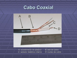 Cabo CoaxialCabo Coaxial
A: revestimento de plástico B: tela de cobreA: revestimento de plástico B: tela de cobre
C: isolador dialétrico interno D: núcleo de cobreC: isolador dialétrico interno D: núcleo de cobre
 