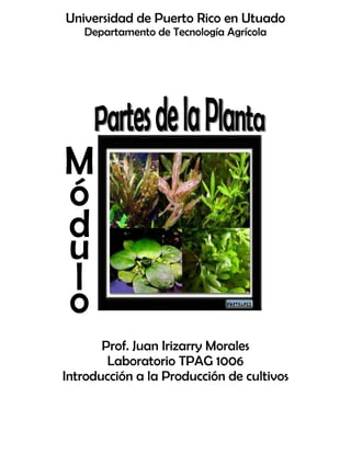 Universidad de Puerto Rico en Utuado
Departamento de Tecnología Agrícola
Prof. Juan Irizarry Morales
Laboratorio TPAG 1006
Introducción a la Producción de cultivos
 