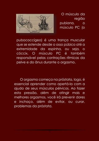 71
O músculo da
região
pubiana, o
músculo PC (o
pubococcígeo) é uma trança muscular
que se estende desde o osso púbico até a
extremidade da espinha, ou seja, o
cóccix. O músculo PC é também
responsável pelas contrações rítmicas da
pelve e do ânus durante o orgasmo.
O orgasmo começa na próstata, logo, é
essencial aprender como apertá-la com a
ajuda de seus músculos pélvicos. Ao fazer
esta pressão, além de atingir mais e
melhores orgasmos, você irá prevenir dores
e inchaço, além de evitar, ou curar,
problemas da próstata.
 