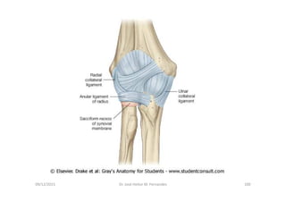 figura
09/12/2015 Dr. José Heitor M. Fernandes 100
 