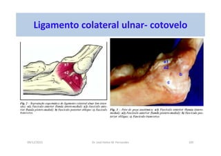 09/12/2015 Dr. José Heitor M. Fernandes 105
Ligamento colateral ulnar- cotovelo
 