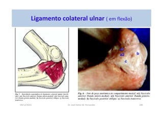 09/12/2015 Dr. José Heitor M. Fernandes 106
Ligamento colateral ulnar ( em flexão)
 