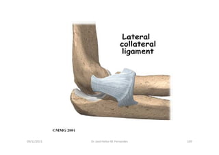 09/12/2015 Dr. José Heitor M. Fernandes 109
 