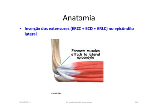 09/12/2015 Dr. José Heitor M. Fernandes 165
Anatomia
• Inserção dos extensores (ERCC + ECD + ERLC) no epicôndilo
lateral
 
