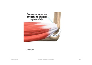 09/12/2015 Dr. José Heitor M. Fernandes 180
 
