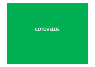 COTOVELOS
 