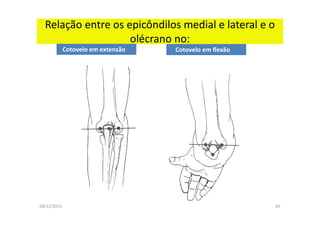 09/12/2015 65
Relação entre os epicôndilos medial e lateral e o
olécrano no:
Cotovelo em extensão Cotovelo em flexão
 