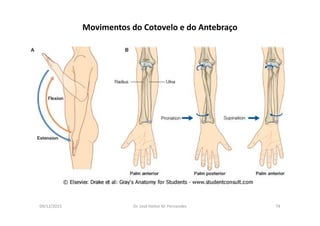 09/12/2015 Dr. José Heitor M. Fernandes 74
Movimentos do Cotovelo e do Antebraço
 