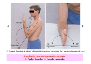 Amplitude de movimento do cotovelo.
A – Flexão e Extensão. B- Pronação e supinação.
 