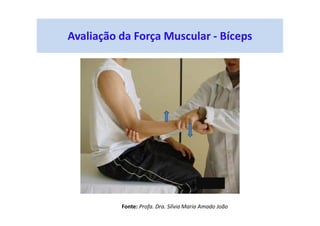 Avaliação da Força Muscular - Bíceps
Fonte: Profa. Dra. Sílvia Maria Amado João
 