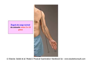 Ângulo de carga normal
do cotovelo: entre 5 e 15
graus
 