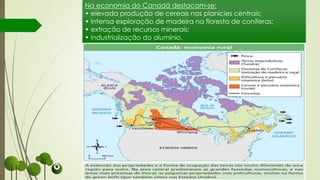 Na economia do Canadá destacam-se:
• elevada produção de cereais nas planícies centrais;
• intensa exploração de madeira na floresta de coníferas;
• extração de recursos minerais;
• industrialização do alumínio.
 
