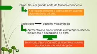 Em virtude disso, o Canadá está entre os maiores
exportadores mundiais de grãos.
Climas frios em grande parte do território canadense
A atividade agrícola é praticada em apenas
algumas áreas do país.
Agricultura Bastante modernizada.
Apresenta alta produtividade e emprega sofisticado
maquinário e pouca mão-de-obra.
 