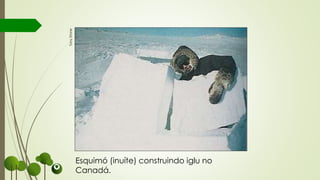Esquimó (inuíte) construindo iglu no
Canadá.
TonyStone
 