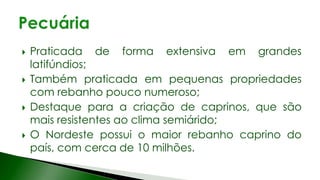  Praticada de forma extensiva em grandes
latifúndios;
 Também praticada em pequenas propriedades
com rebanho pouco numeroso;
 Destaque para a criação de caprinos, que são
mais resistentes ao clima semiárido;
 O Nordeste possui o maior rebanho caprino do
país, com cerca de 10 milhões.
 